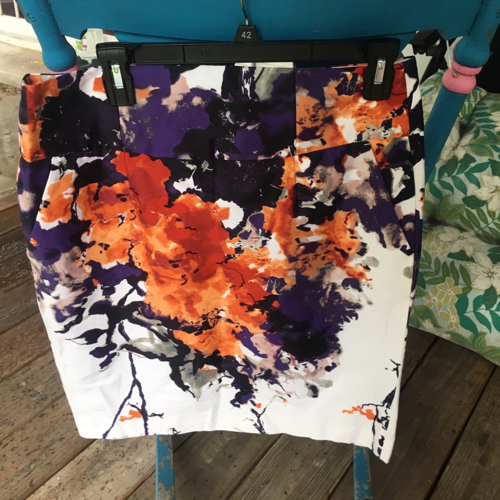 Premise skirt